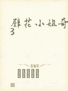 壁花小姐奇遇记3