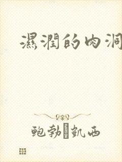 湿润的肉洞