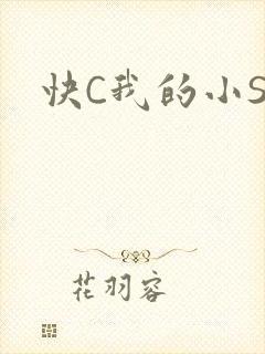 快C我的小SB