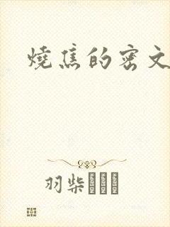 烧焦的密文