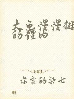 大龟慢慢挺进我的体内