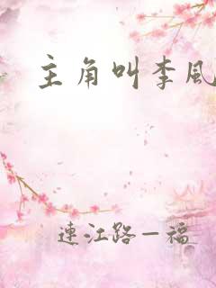 主角叫李风起