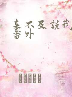 来不及说我爱你番外