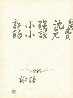 许小强 沈丽娟的小说免费阅读