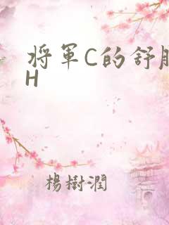 将军C的舒服么H