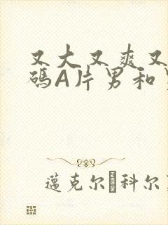 又大又爽又黄无码A片男和男