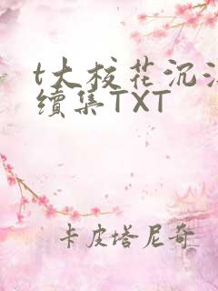 t大校花沉浮录续集TXT