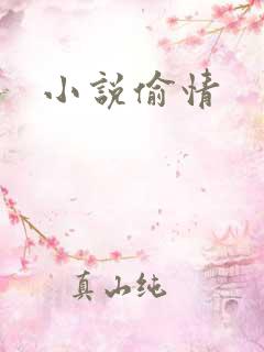 小说偷情