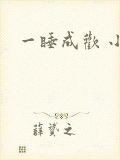 一睡成欢 小说
