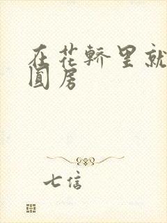 在花轿里就开始圆房