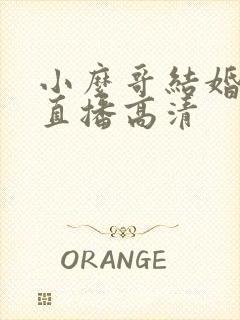 小么哥结婚视频直播高清