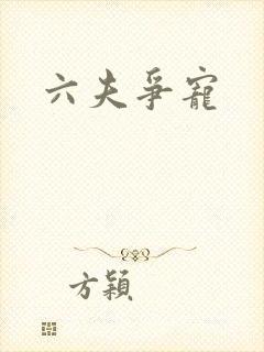 六夫争宠