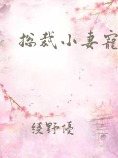 总裁小妻宠上天