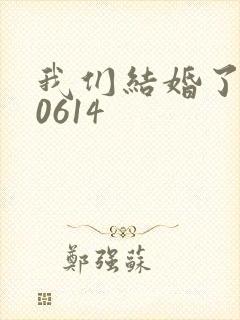 我们结婚了130614