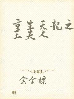 重生天龙之推倒王夫人