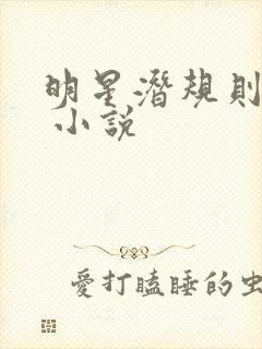 明星潜规则之皇 小说