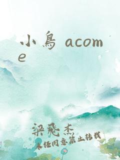 小鸟 acome