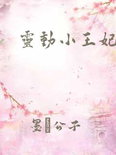 灵动小王妃