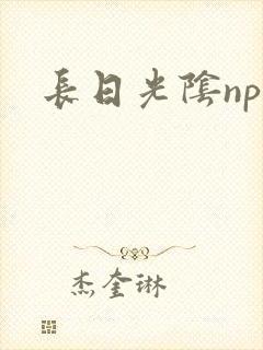 长日光阴np