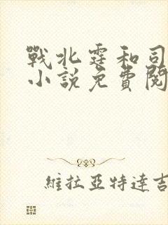 战北霆和司情的小说免费阅读