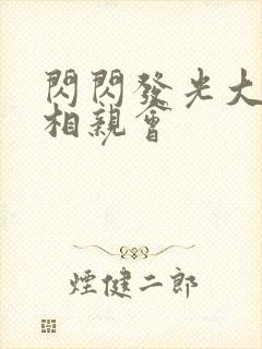 闪闪发光大团圆相亲会