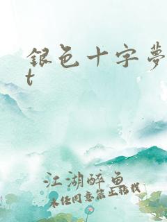 银色十字梦txt