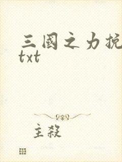 三国之力挽狂澜txt