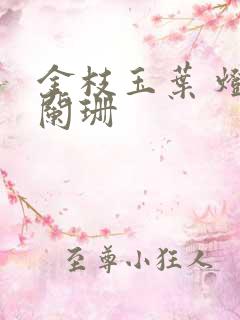 金枝玉叶 灯火阑珊