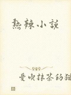 热辣小说