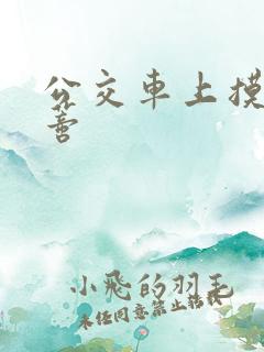 公交车上摸到花蒂