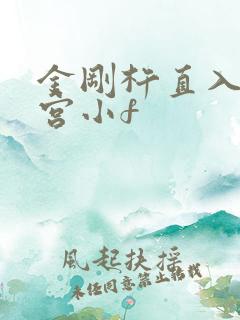 金刚杵直入莲花宫小f