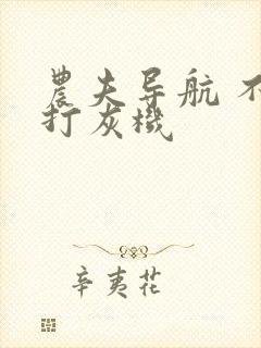 农夫导航 不准打灰机