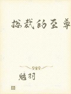 总裁的至尊前妻