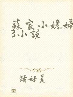 苏家小媳妇1V3小说