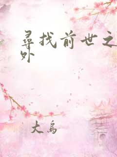 寻找前世之旅番外