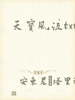 天宝风流txt