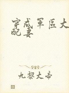 穿成军区大佬女配妻