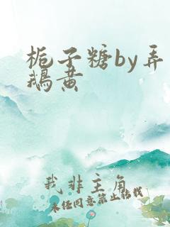 栀子糖by弄白鹅黄