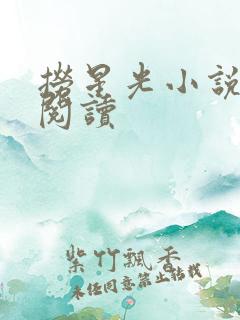 捞星光小说免费阅读