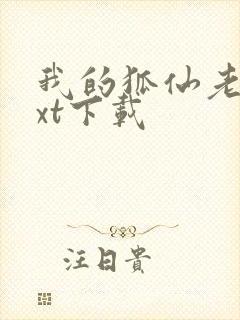 我的狐仙老婆txt下载