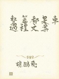 整篇都是车的肉过程文案