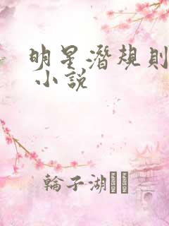 明星潜规则之皇 小说