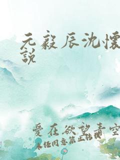 元毅辰沈怀妆小说