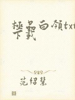 极品白领txt下载