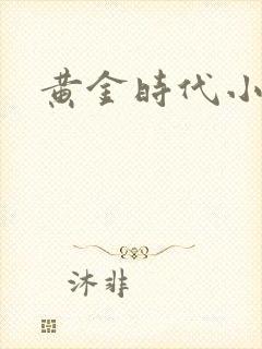 黄金时代小说