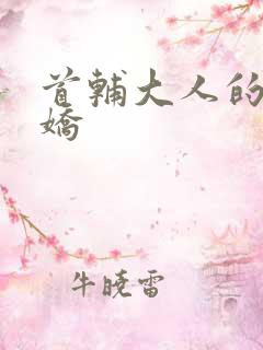 首辅大人的掌心娇