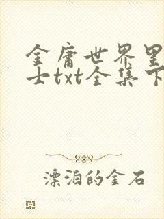 金庸世界里的道士txt全集下载