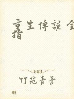 重生传说 金手指