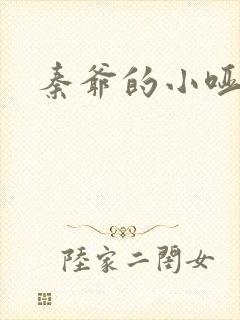 秦爷的小哑妻