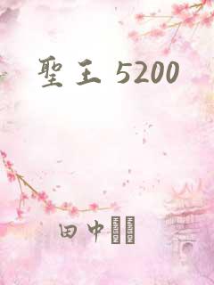 圣王 5200